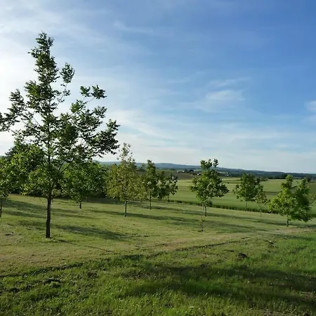 Solterre *
